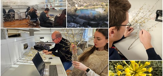 Terenske i laboratorijske aktivnosti Agromediteranskog fakulteta u okviru projekta za istraživanje drijenka